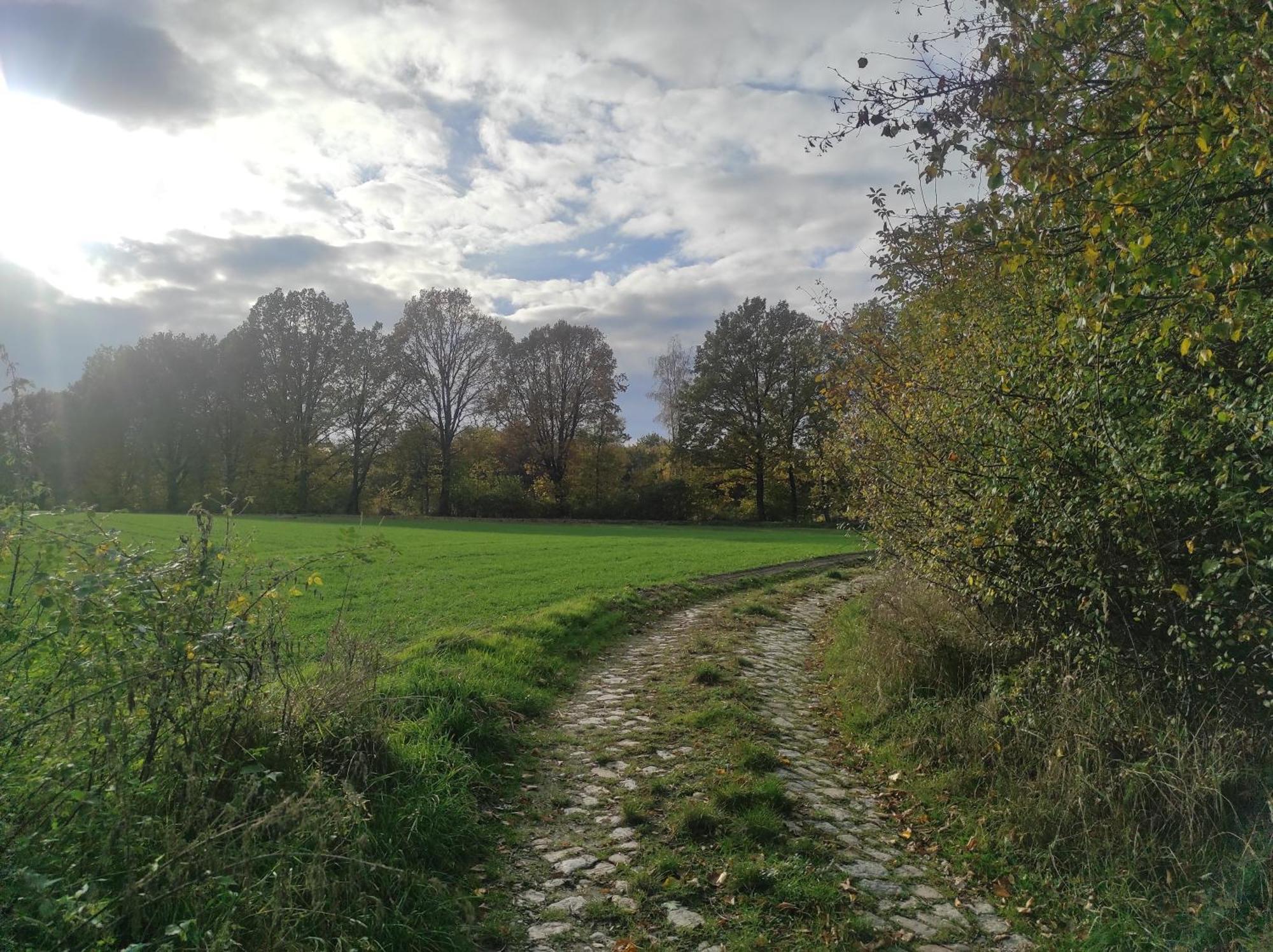 Lazurowa Prowansja - Agroturystyka Villa Toscana Boleslawiec  Dış mekan fotoğraf